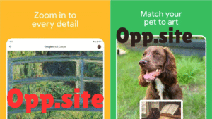 Google Arts APK 